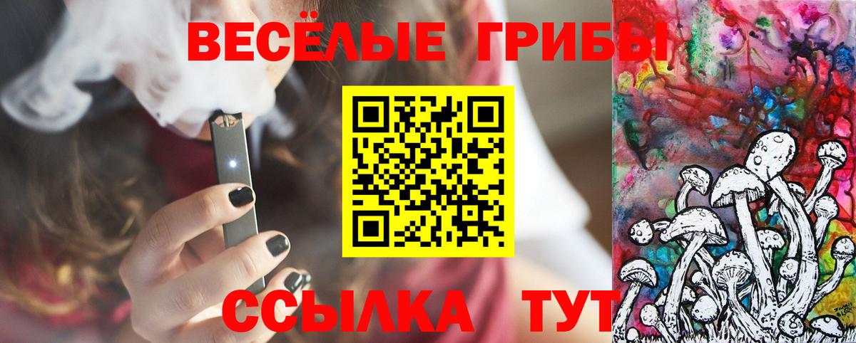Псилоцибиновые грибы ЛСД Кизляр