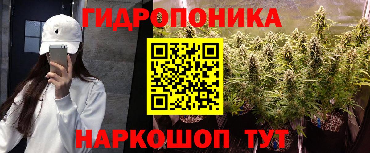 Шишки марихуана SATIVA & INDICA Кизляр